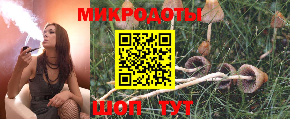 Галлюциногенные грибы Psilocybine cubensis Родники