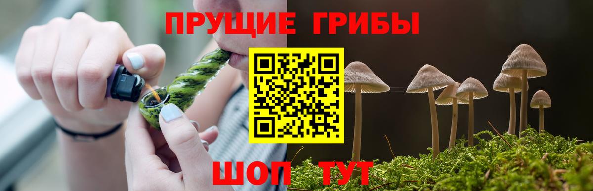 Галлюциногенные грибы прущие грибы  Вход с VPN  Родники  Галлюциногенные грибы MAGIC MUSHROOMS 