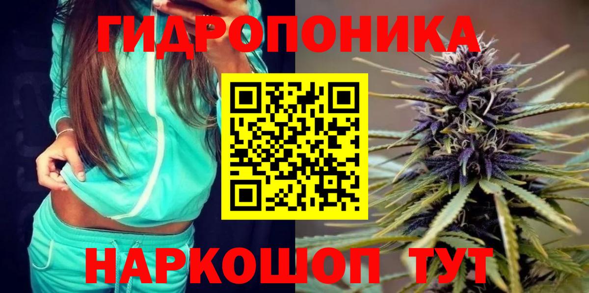 Бошки марихуана OG Kush  Марихуана конопля  Родники  Бошки марихуана OG Kush  Вход с VPN 
